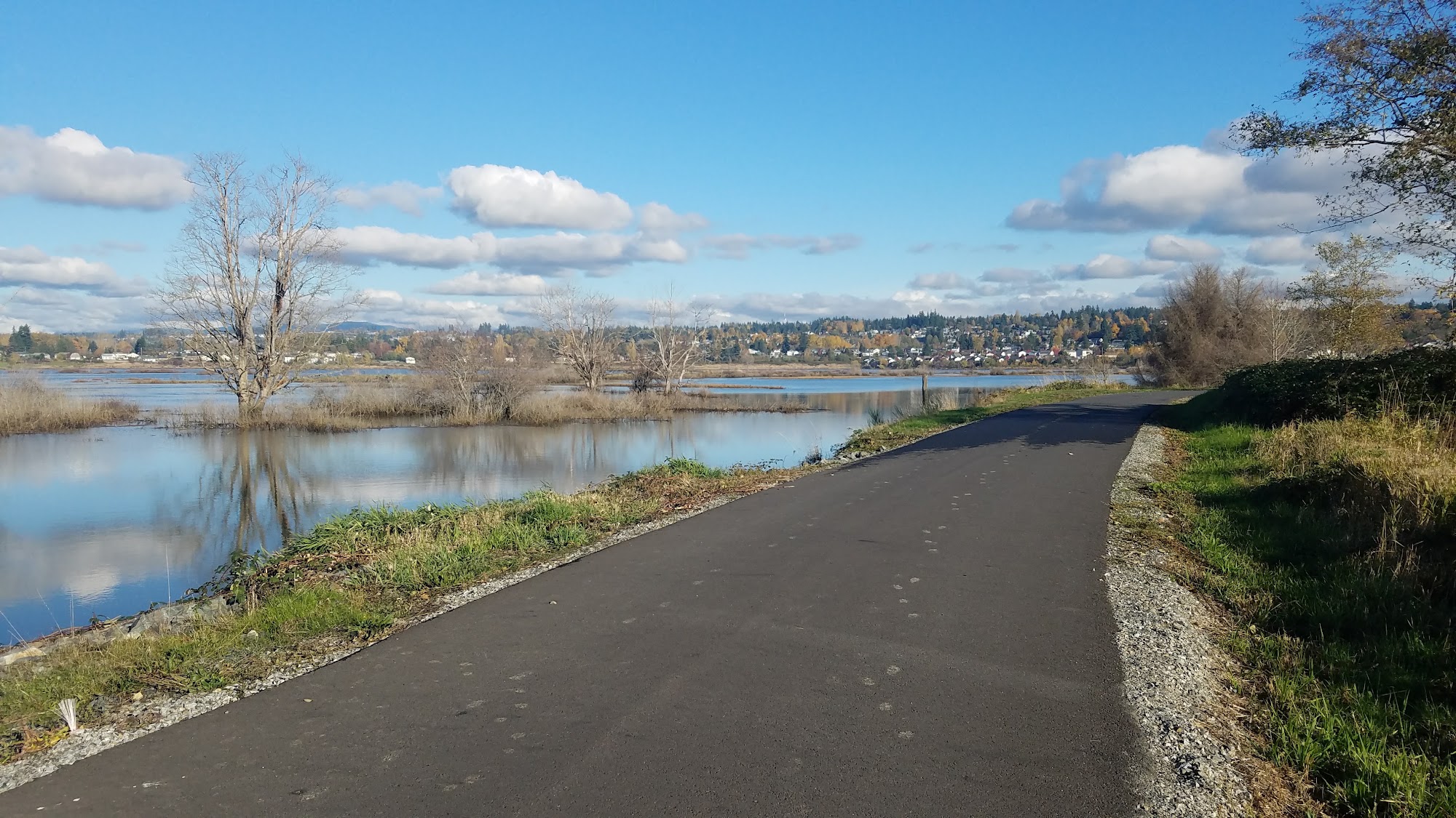 Ebey Waterfront Trail: A Paved Walk Into the Qwuloolt Estuary