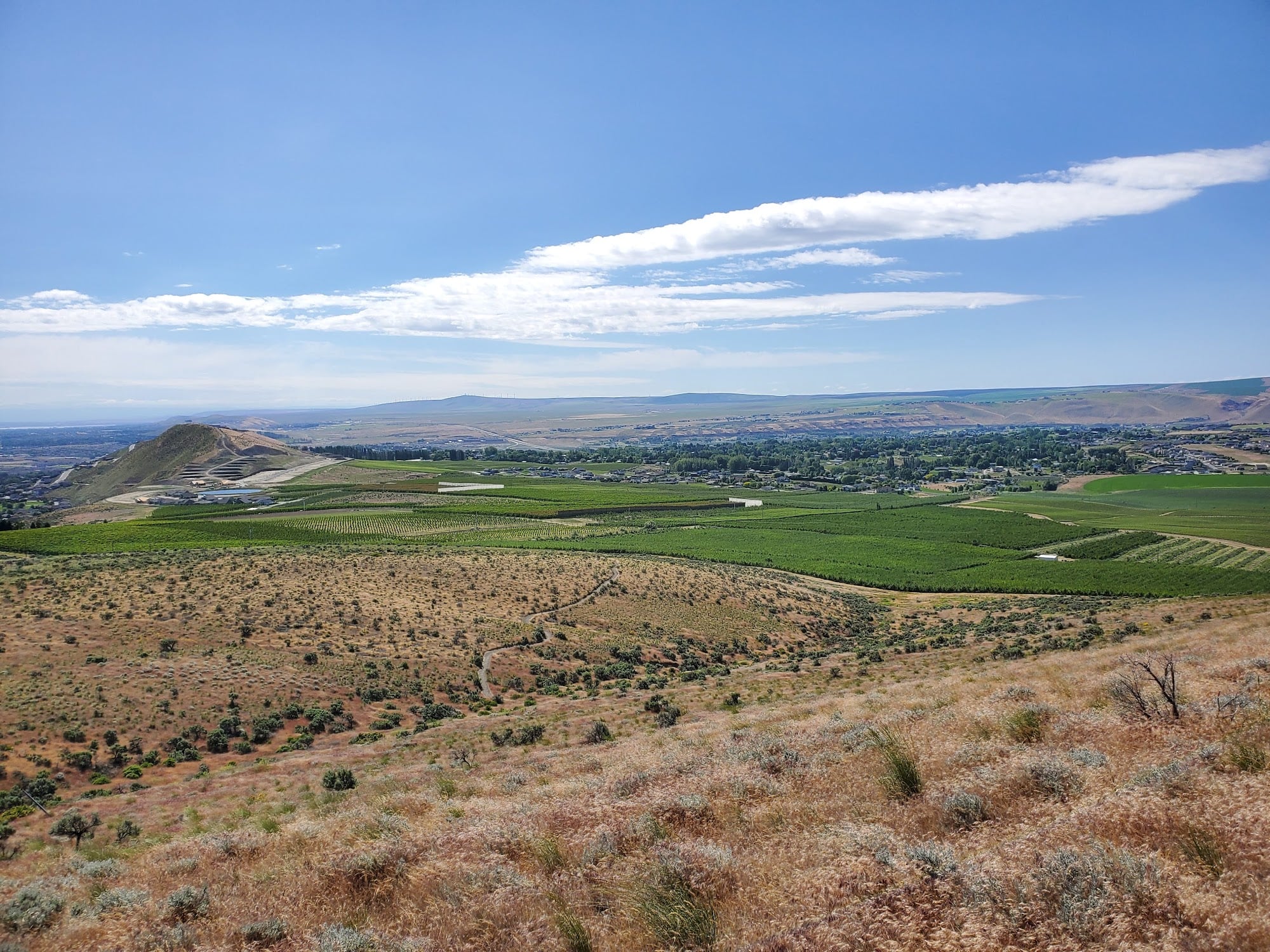 Badger Mountain Centennial Preserve: 800 Feet Up for the Best View in Town