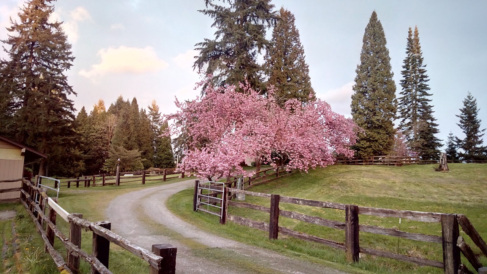 Tolt Pipeline and Sammamish River Loop: 10 Miles From Bothell Landing