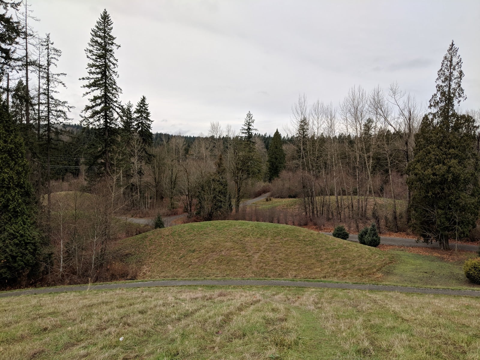Brightwater Center: Three Miles of Wetland Trail at a Treatment Plant